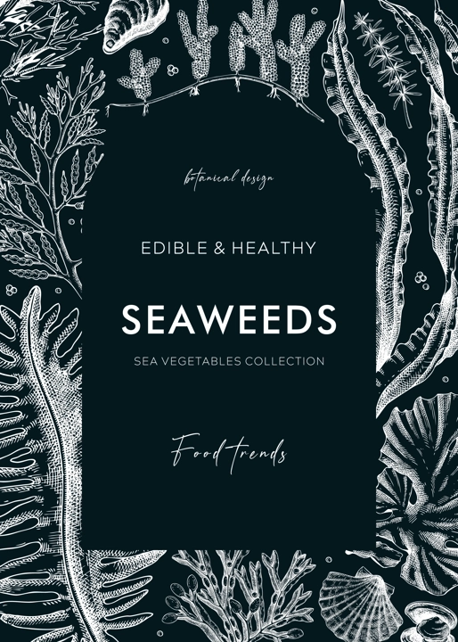 Edible seaweeds frame design on chalkboard. Hand drawn sea algae in sketch style. Vector illustration with kelp, wakame, kombu, and hijiki drawings. Healthy food ingredients banner for Asian cuisine